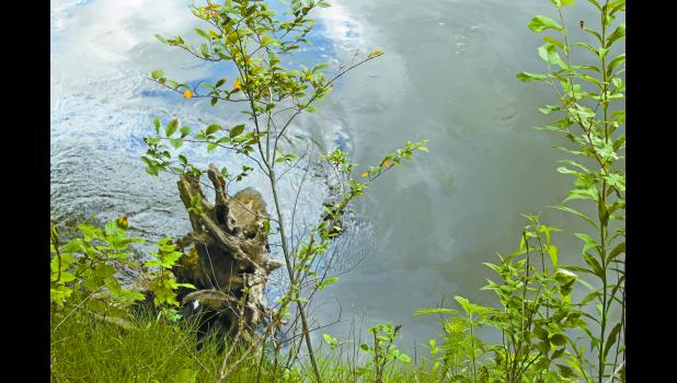 A fuel leak from a 10,000-gallon tank caused a commotion on a farm northeast of the Tippecanoe River State Park. Fuel could be seen skimming the Tippecanoe River at the Haschel Bridge Public Access Site on CR 240 E. on Friday, July 15.