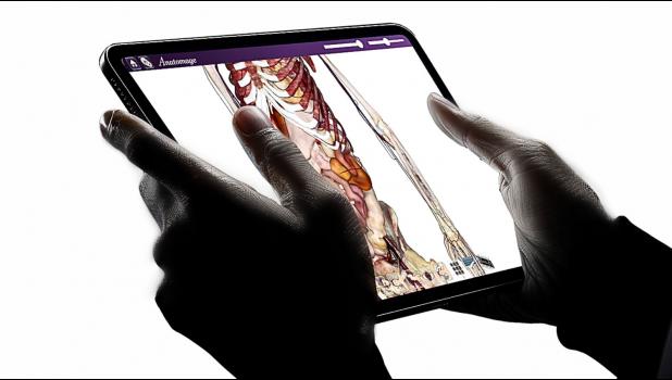 Photo provided. According to their website, the Anatomage Tablet keeps learning at students’ fingertips and offers instant access to digitized real human cadavers, anatomy videos, and pathology references. Image from the Anatomage website.