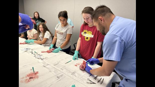 Photo provided. Dr. Daniel Anderson, general surgeon at Pulaski Memorial Hospital, explains the procedure of doing a pig heart dissection.