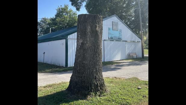 Photo by Megan Galbreath The tree stump at the 4-H fairgrounds will be carved with a design later this fall.