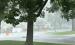 A strong line of storms heavily impacted Pulaski County on Tuesday, Aug. 11.