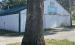 The tree stump at the 4-H fairgrounds will be carved with a design later this fall.